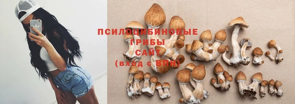таблы Аркадак